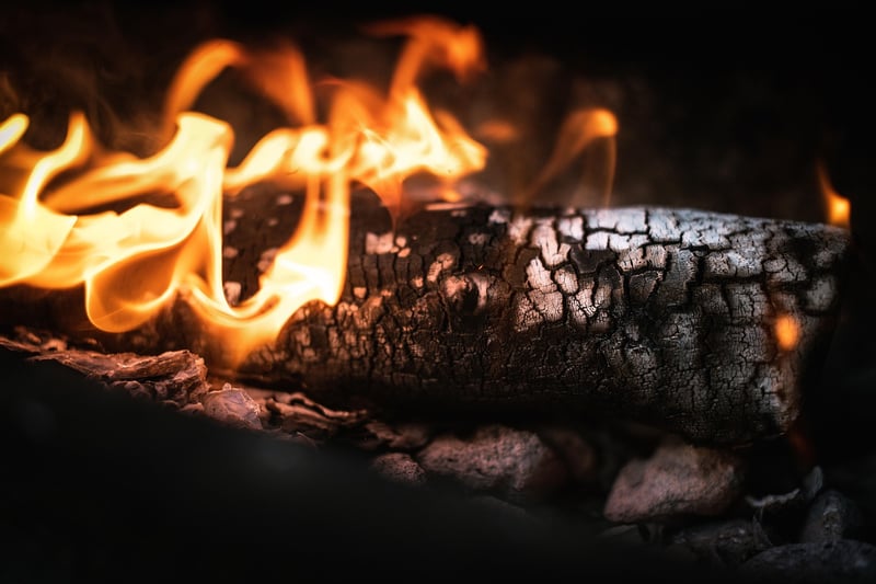 Grilled Goodness