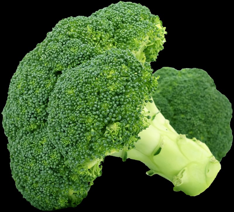 Plant-Based Delights